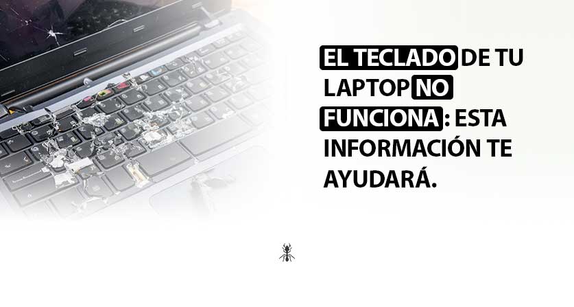 Si el teclado de tu laptop no funciona, esta información te ayudará.