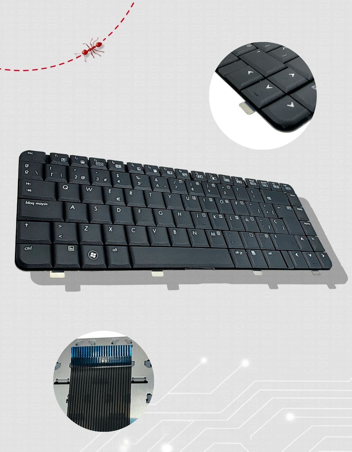 Teclado HP® Dv4 1000 1200 1300 1400 1500 1600 2000 Español La