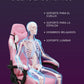 Silla Gamer Xmax Rest cómoda con Respaldo Ergonómico, reclinable y apoyapiés, ideal para Jugadores Profesionales | Marca Nian